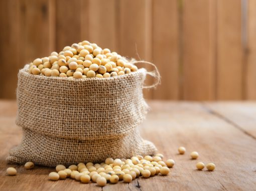 Soy: Good or Bad for you?